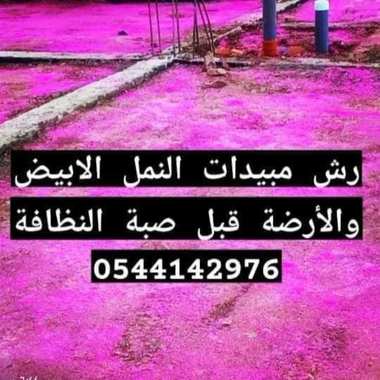شركة مكافحة النمل الابيض بالمدينة المنورة -0544142976 - 2