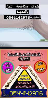 شركة مكافحة النمل الابيض بالمدينة المنورة -0544142976 - 4