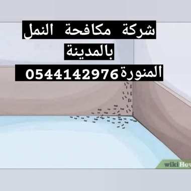 شركة مكافحة النمل الابيض بالمدينة المنورة -0544142976 - 7