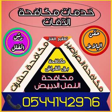 شركة مكافحة النمل الابيض بالمدينة المنورة -0544142976 - 8