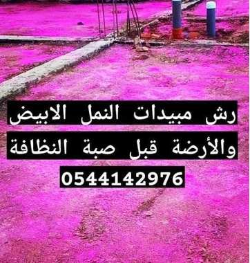 شركة مكافحة النمل الابيض بالمدينة المنورة -0544142976 - 11