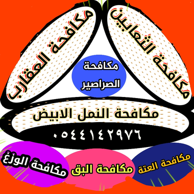شركة مكافحة النمل الابيض بالمدينة المنورة -0544142976 - 15