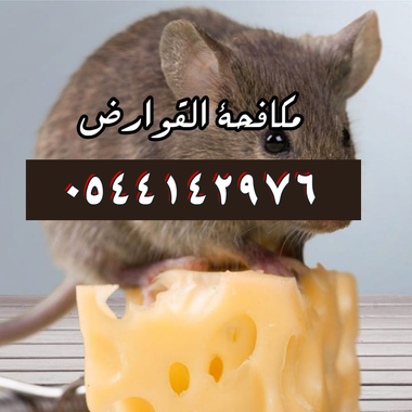 شركة مكافحة النمل الابيض بالمدينة المنورة -0544142976 - 16