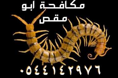 شركة مكافحة النمل الابيض بالمدينة المنورة -0544142976 - 17