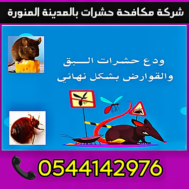 شركة مكافحة النمل الابيض بالمدينة المنورة -0544142976 - 19