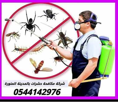 شركة مكافحة الثعابين بالمدينة المنورة - 0544142976 - 9