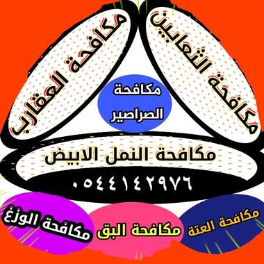 شركة مكافحة الثعابين بالمدينة المنورة - 0544142976 - 13