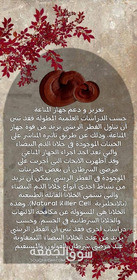 الفطر الريشي - 6