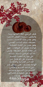 الفطر الريشي - 7