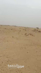 ارض للبيع في العبور في القادسيه - 4