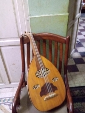 عود شرقي للبيع