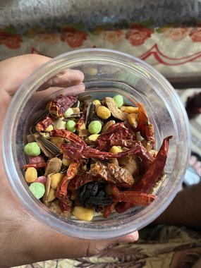 بغبغان درة هندي ريش كامل ذكر - 3