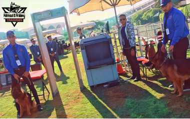 تدريب كلاب K9 عالي المستوى للبحث والتفتيش - 2