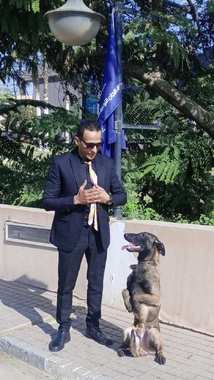 تدريب كلاب K9 عالي المستوى للبحث والتفتيش - 4