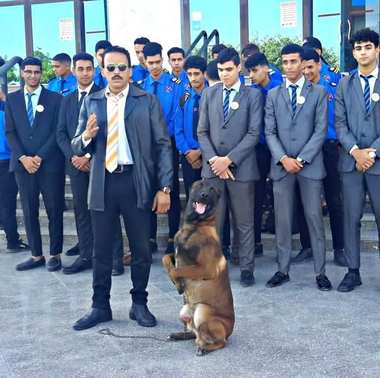 تدريب كلاب K9 عالي المستوى للبحث والتفتيش - 5