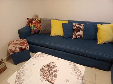 عفش كامل للبيع بداعي السفر قبل يوم السبت - 9