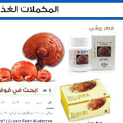 عدنان صالح