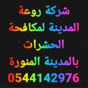 شركة مكافحة حشرات بالمدينة المنورة